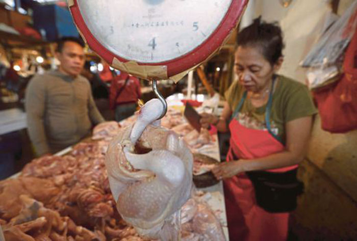 Jakarta Mahu Bunuh 6 Juta Ayam