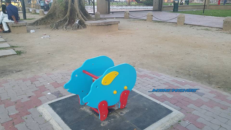pigggg2