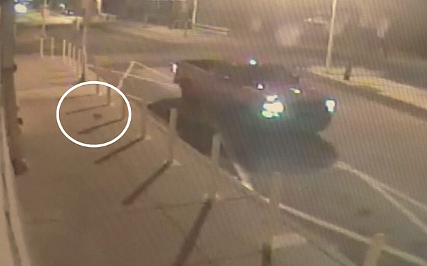 Rakaman Video Litar Tertutup (CCTV) menunjukkan kepala babi tersebut telah dibaling dari sebuah trak yang berwarna putih.