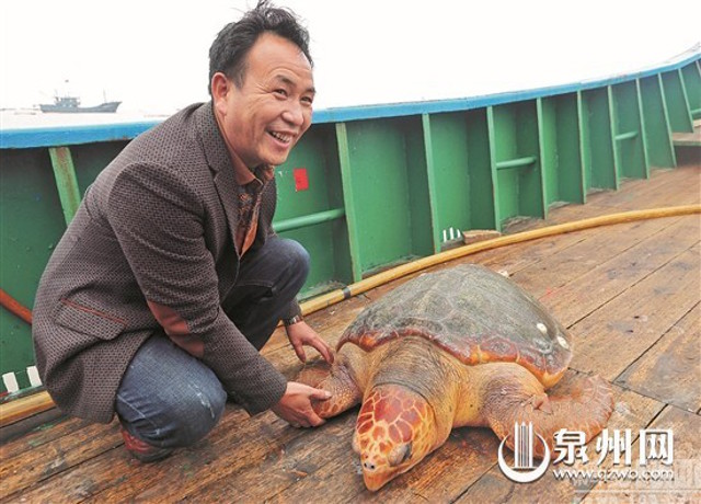 Li Awei bersama Olive Ridley