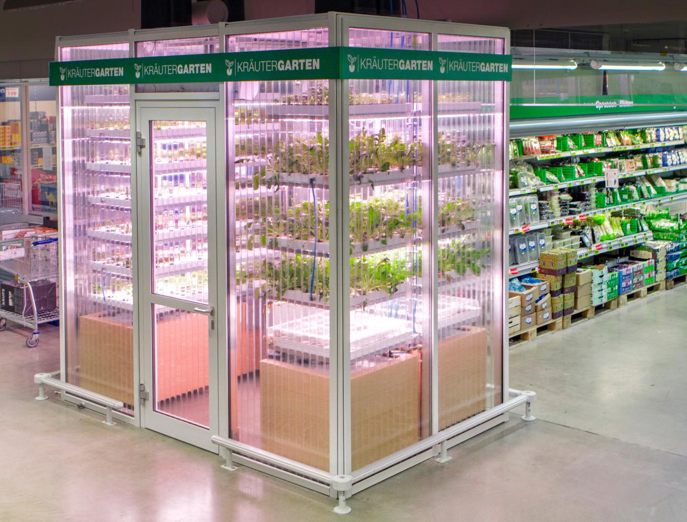 METRO Kräutergarten_01