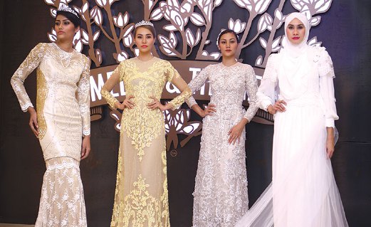 mimosa3.jpg.transformed