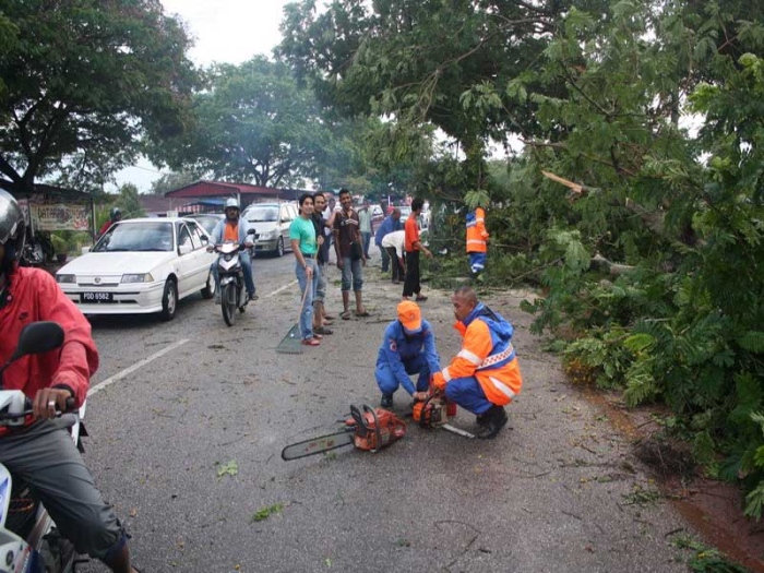 9 Aduan Pokok Tumbang Di Kuala Muda Aibat Ribut MYNEWSHUB