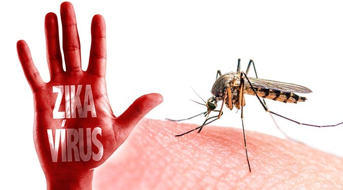 Saintis Bagi Amaran Virus Zika Kembali, Kali Ini Lebih Dahsyat