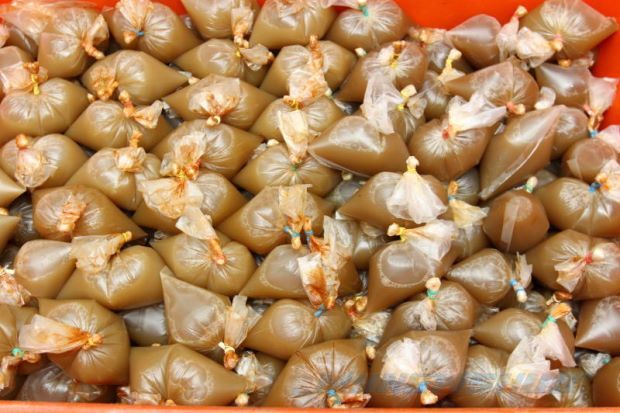 ketum