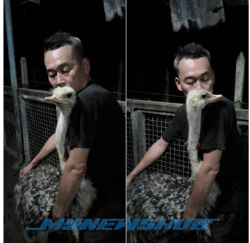 CHIKABOO BERSAMA TUANNYA, DARREN CHOW.