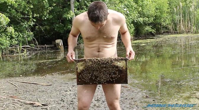 Lelaki Telanjang Bulat, Takluk Ribuan Lebah