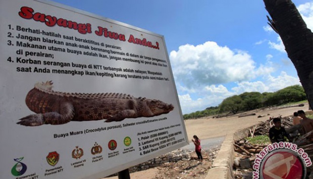 Perlumbaan Tangkap Buaya, Pemenang Ditawar RM1.5K