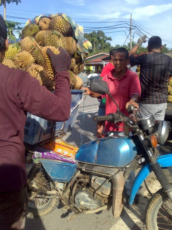 Tips Untuk Hantu Durian @ Kalau Nak Niaga Durian