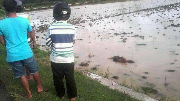 Ingatkan Mayat, Rupanya Orang Gila Tidur Di Sawah