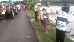 Ingatkan Mayat, Rupanya Orang Gila Tidur Di Sawah