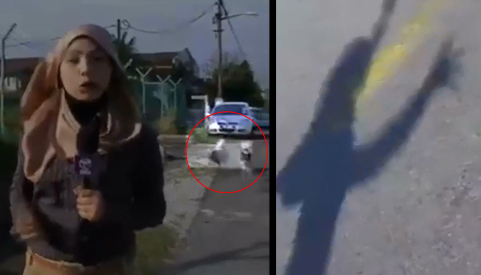 Video Wartawan NTV7 Dikejar Anjing Semasa Buat Liputan Viral