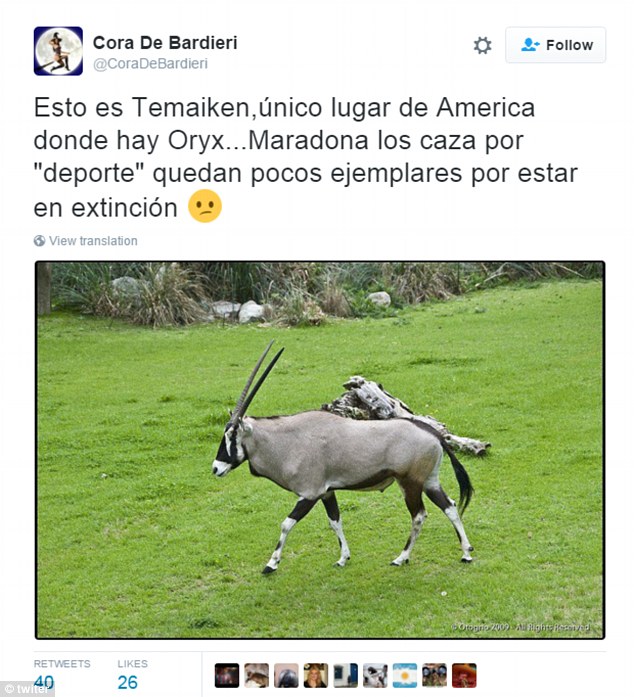 Maradona Dikecam Tayang Gambar Buru Rusa