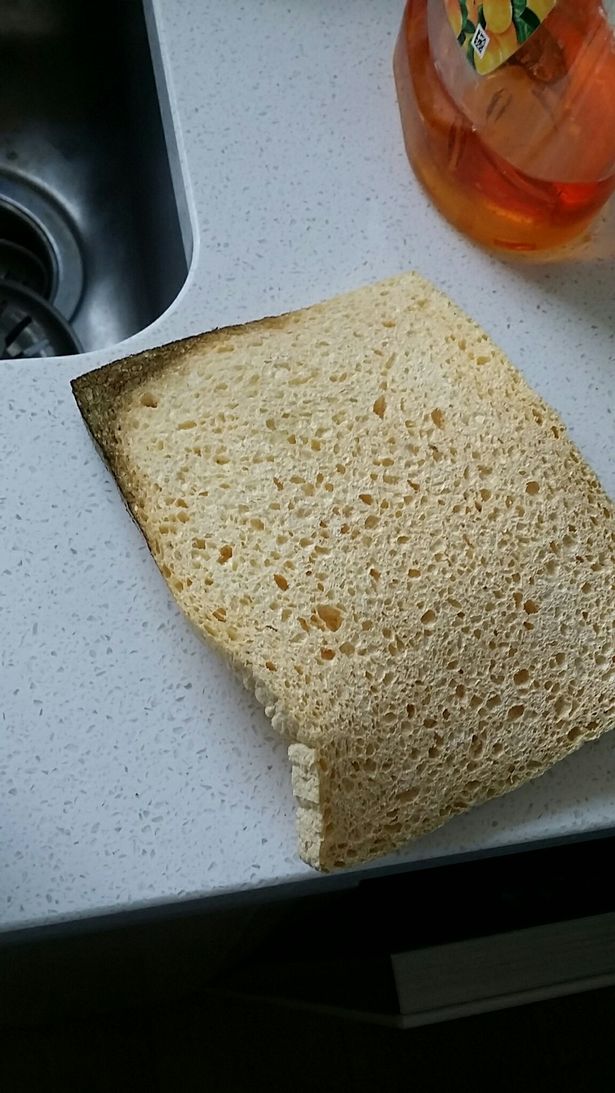 Gambar Viral Ini Jadi Perdebatan: Span Atau Roti?