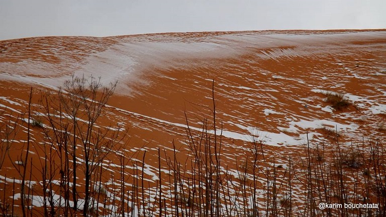 sahara2