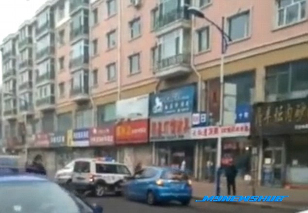 Kantoi Vandalisme, Wanita Nekad Serang Anggota Polis