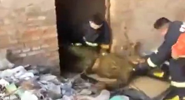 Lelaki Mabuk Jatuh Dalam Saliran Tandas Diselamatkan Bomba