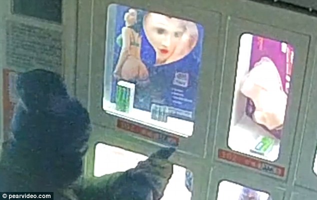 Lelaki 'Terdesak' Curi Patung Seks Dari Mesin Layan Diri