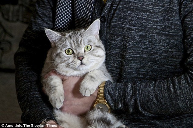 Kucing Miliki Kuasa Psikik Dijual RM370k Kepada Bomoh