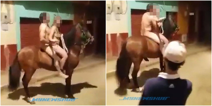 Pasangan Bikin Kecoh Tunggang Kuda Berbogel