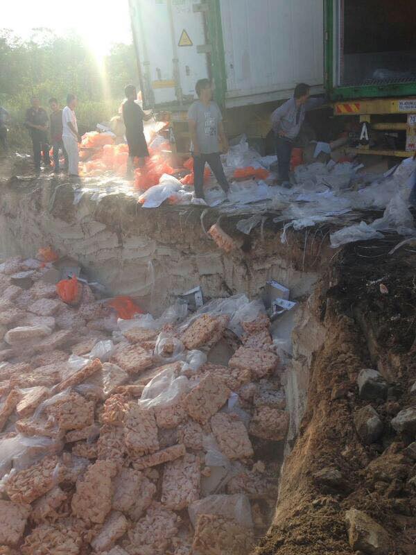 Video: Ramai Gali Kepak Ayam Dibuang Di Bukit Aup
