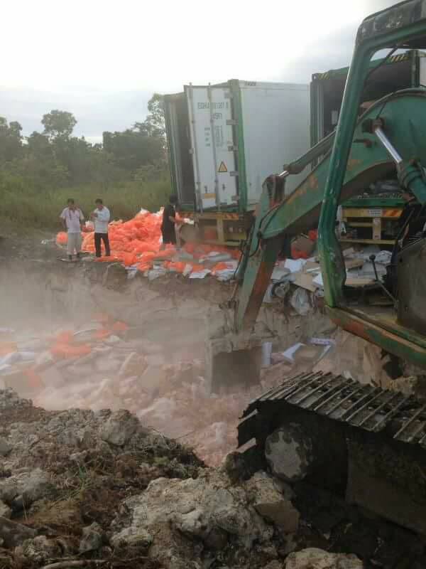 Video: Ramai Gali Kepak Ayam Dibuang Di Bukit Aup