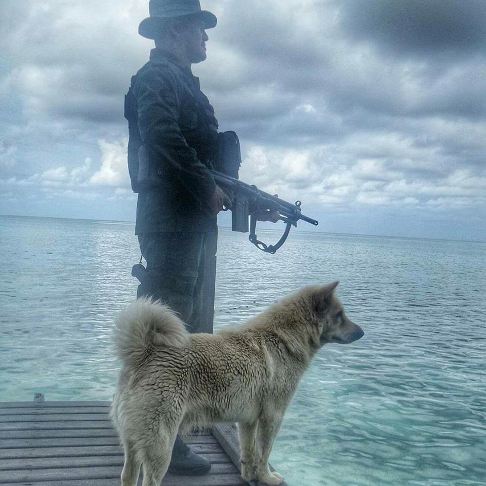 Kisah Si Lobo, Setia Temani Anggota Esscom Di Pulau