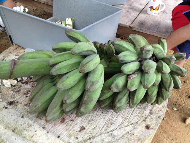 Angkara Pisang Setandan, Buruh Dijel 14 Hari