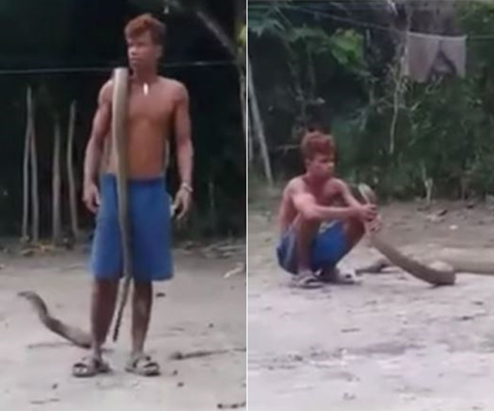 Tangkap Ular Tangan Kosong, Pemuda Digelar Raja Ular