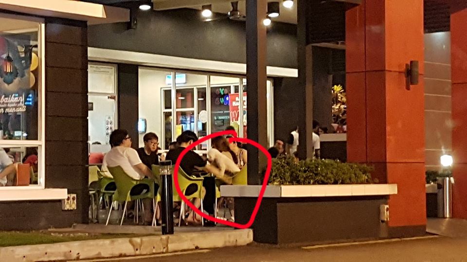 Ini Lagi Selamba... Bawa Anjing Lepak McDonald's