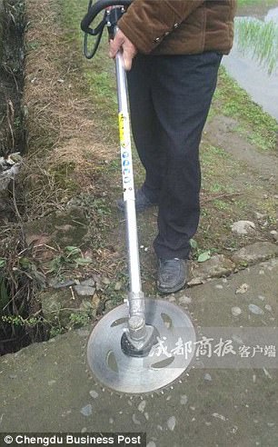 Terpotong Kaki Isteri Ketika Pangkas Ranting Pokok