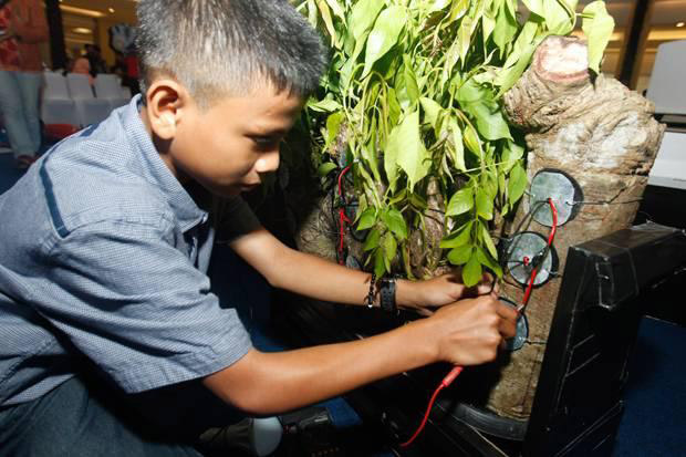 Budak Aceh Temui Elektrik Dalam Pokok Kedondong