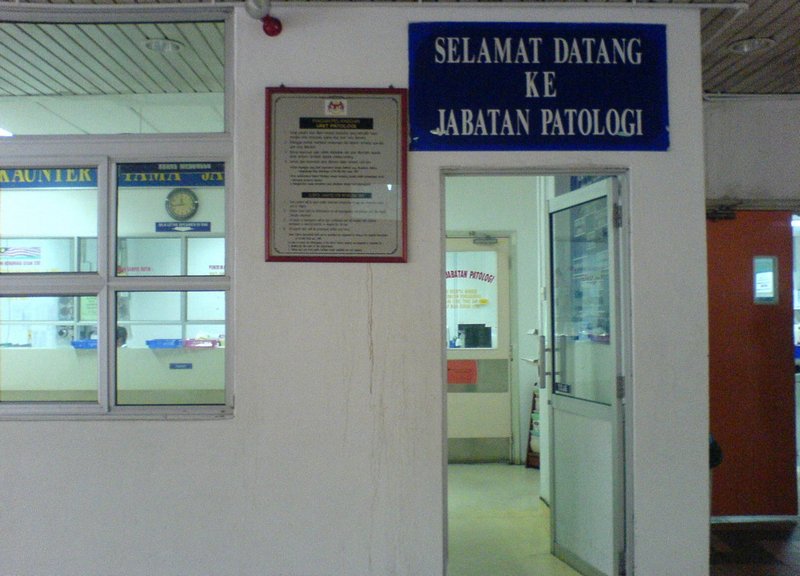 Unit Patologi HRPZ II Kota Bharu Akan Dinaik Taraf - MYNEWSHUB