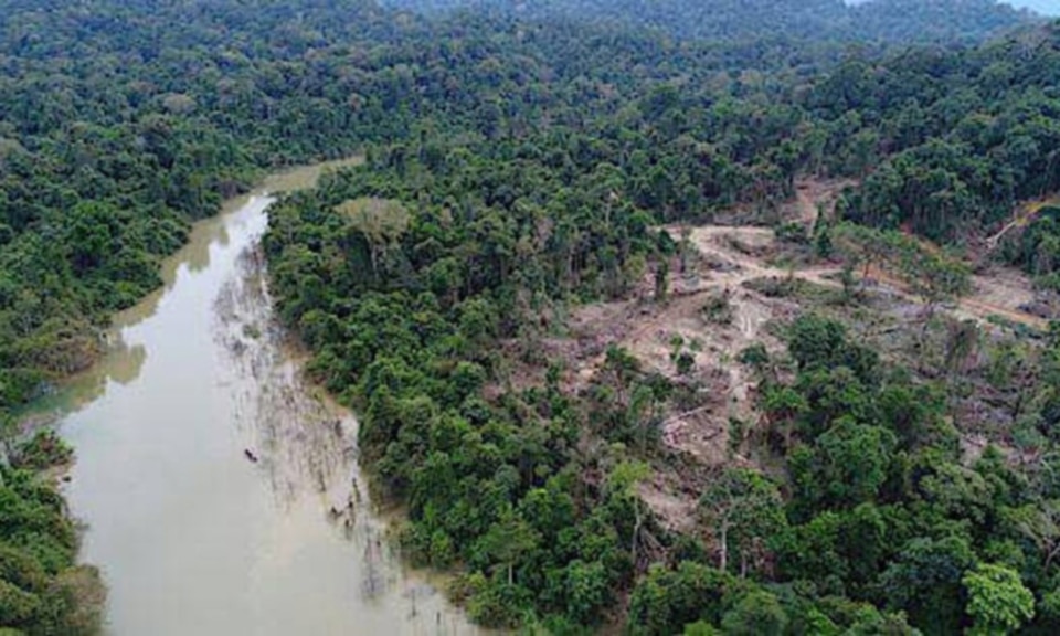 Hutan Simpan Ulu Muda Perlu Dijadikan Hutan Tadahan Air ...