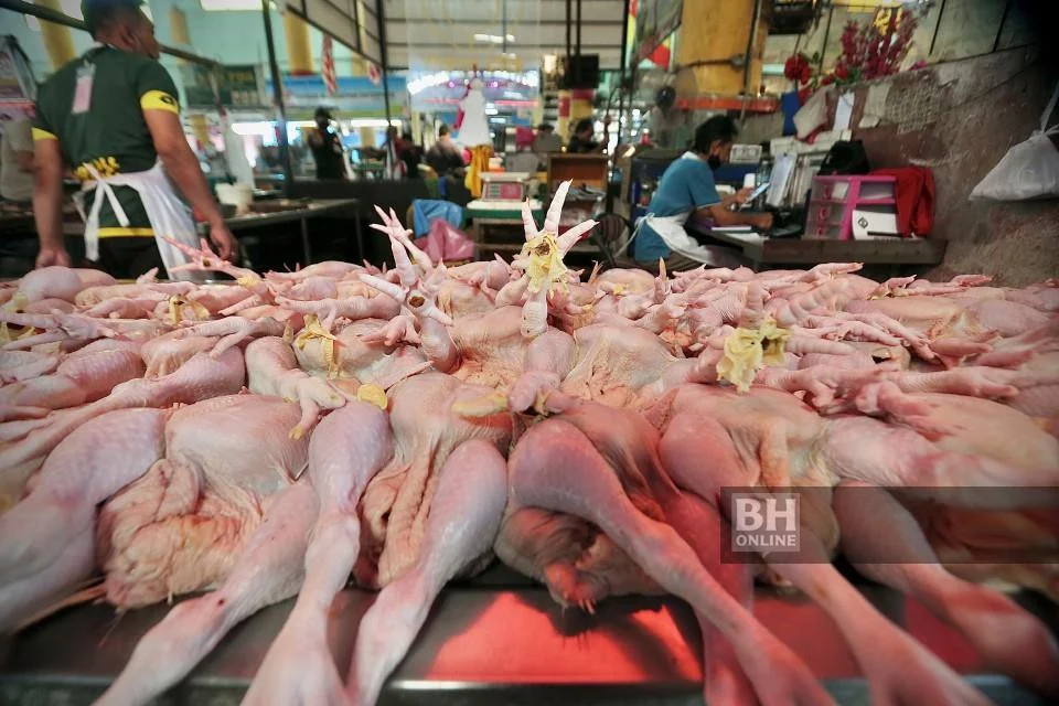 MYCC Nilai Laporan Siasatan Kartel Industri Ayam