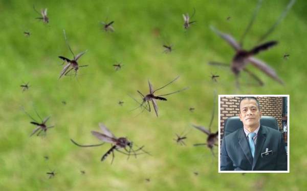 Kelantan Rekod 57 Kes Jangkitan Malaria Monyet