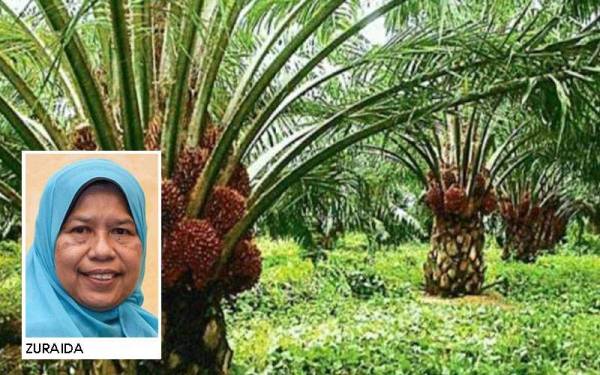 KPPK Yakin Lawatan PM Ke Turkiye Perkukuh Eksport Minyak Sawit