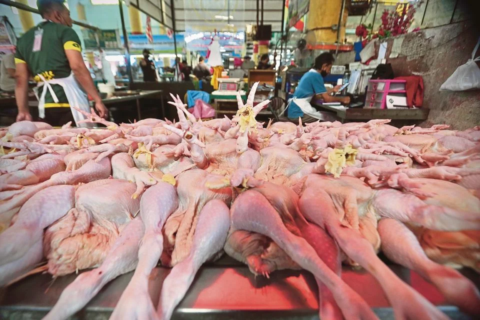 Harga Siling Runcit Baharu Ayam, Telur Ayam Dikekalkan Dua Bulan
