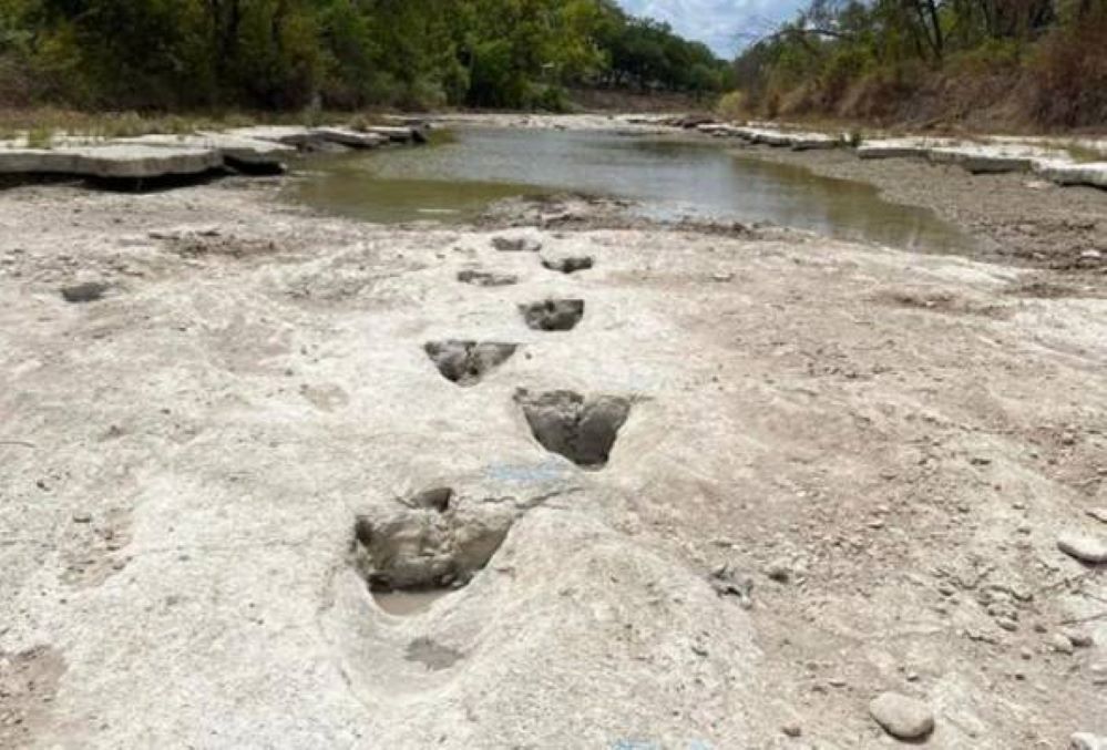 Tapak Kaki Dinosaur Kelihatan Selepas Sungai Di Texas Kering
