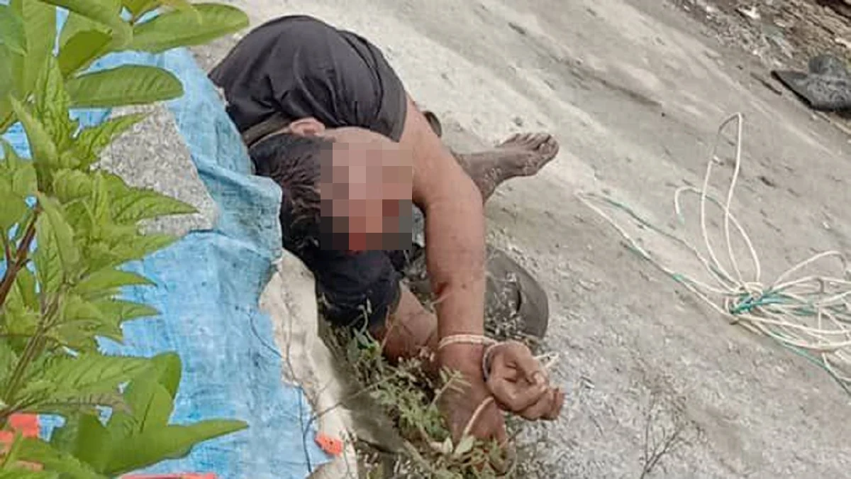 Bukan Kes Culik Tapi Curi Sarang Burung Walit