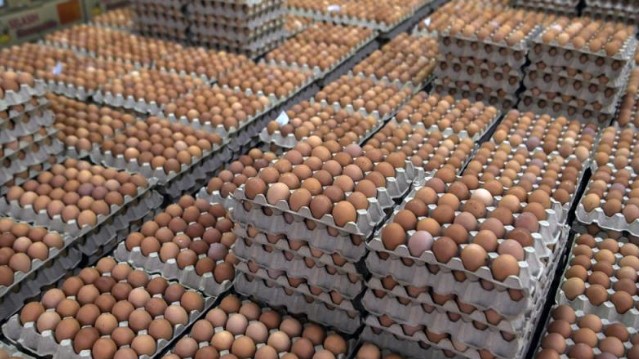 Kerajaan Beri Kebenaran Sementara Import Telur Ayam