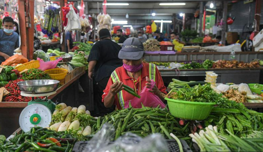 Strategi Kurangkan Kebergantungan Makanan Import Akan Dilancar