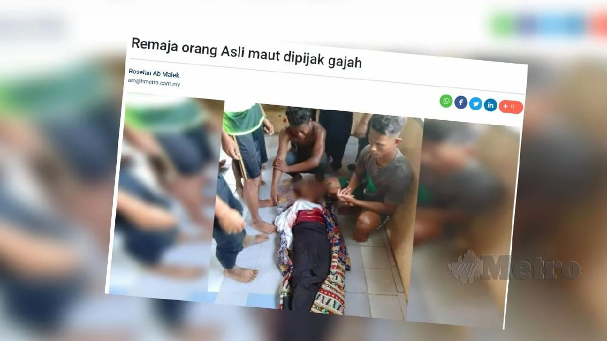 Perhilitan Jejak Gajah Sebabkan Kematian Remaja Orang Asli