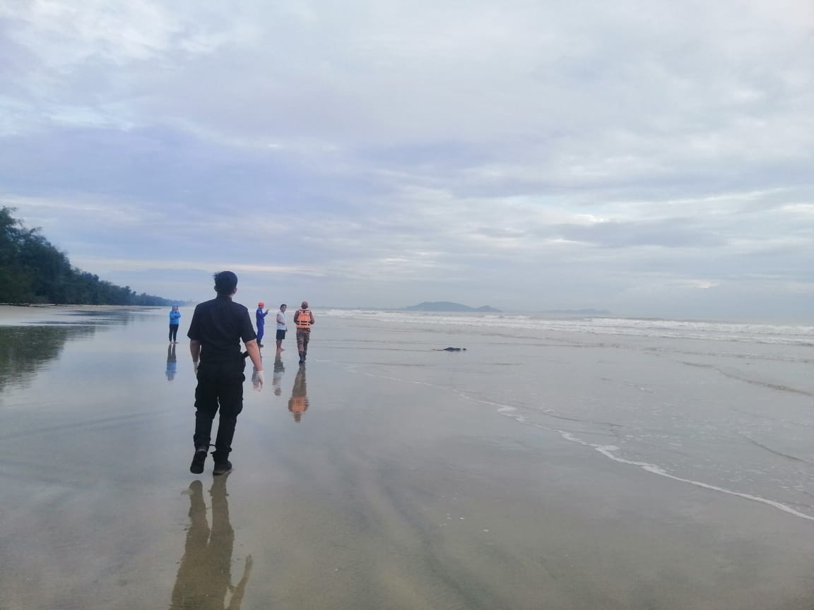 Penuntut UiTM Dungun Dikhuatiri Lemas Di Pantai Cherating Ditemukan