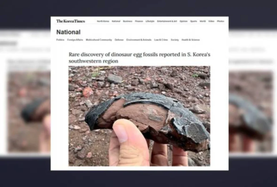 Fosil Telur Dinosaur Ditemui Di Barat Daya Korea Selatan