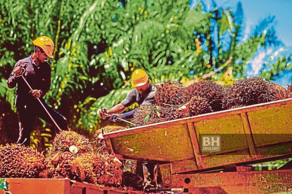 Kerajaan Digesa Kaji Kos Pengeluaran Minyak Sawit