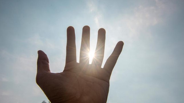 8 Maut Akibat Gelombang Haba Melampau Di Mexico