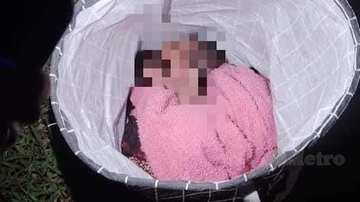 Buang Bayi Tepi Ladang Getah, Ditahan Bantu Siasatan