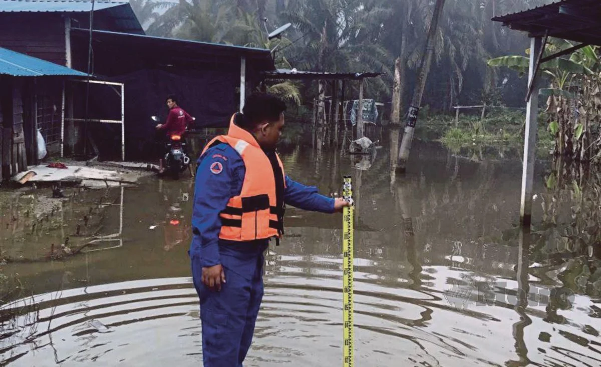 Harimau Belang Masuk Perangkap, Ditembak Pelali