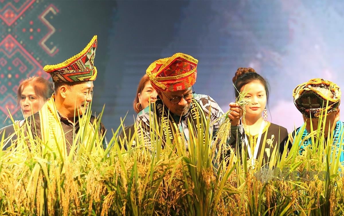 RM8 Bilion Subsidi Elektrik, Diesel Diselamatkan – PM